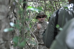 Surviving the elements