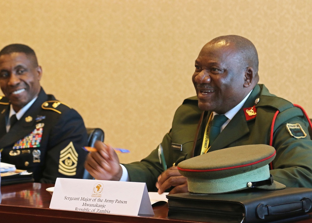 African Land Forces Summit 2017 comes to a close