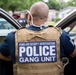 ICE-led gang surge