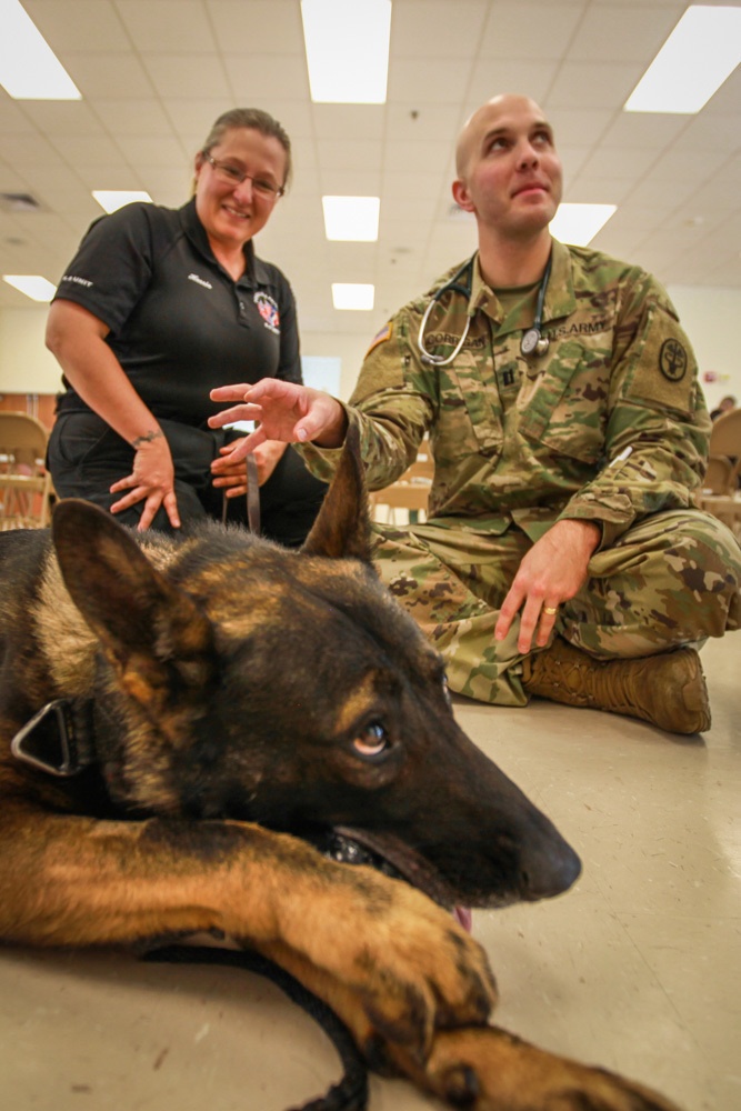 Law Enforcement, Navy, Air Force take part in Army Reserve K9 Casualty Training