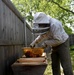 Beekeeping: McConnell Airman’s ‘sweet’ hobby