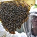 Beekeeping: McConnell Airman’s ‘sweet’ hobby