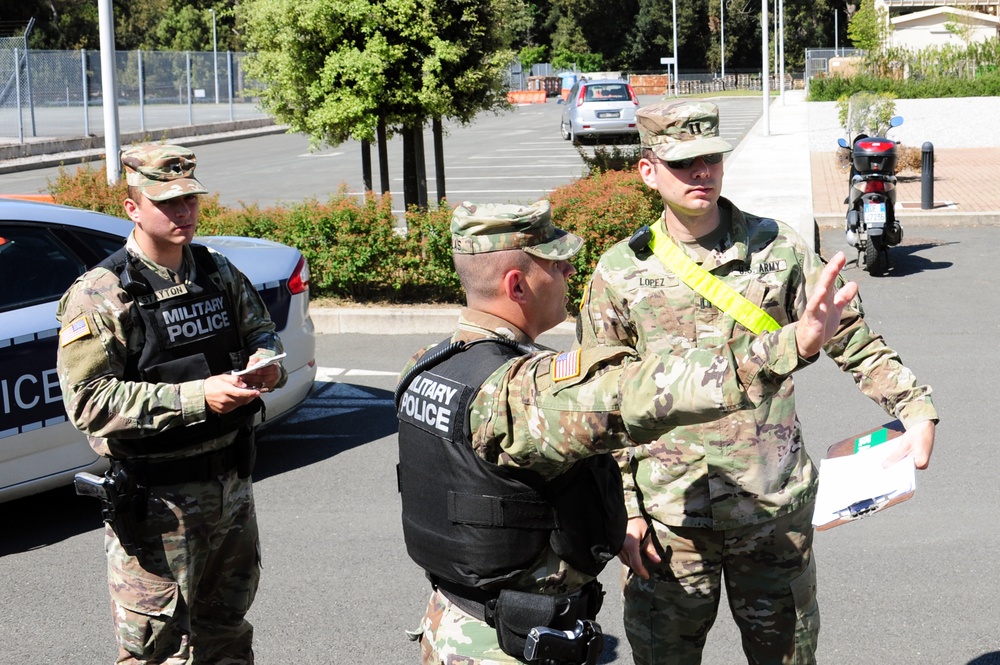 Lion Response Exercise 2017