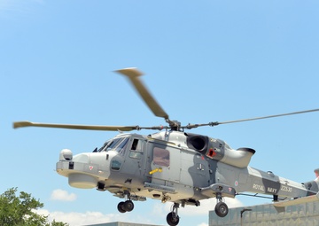 Wildcat lands in Miami
