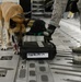 Military working dog detection exercise