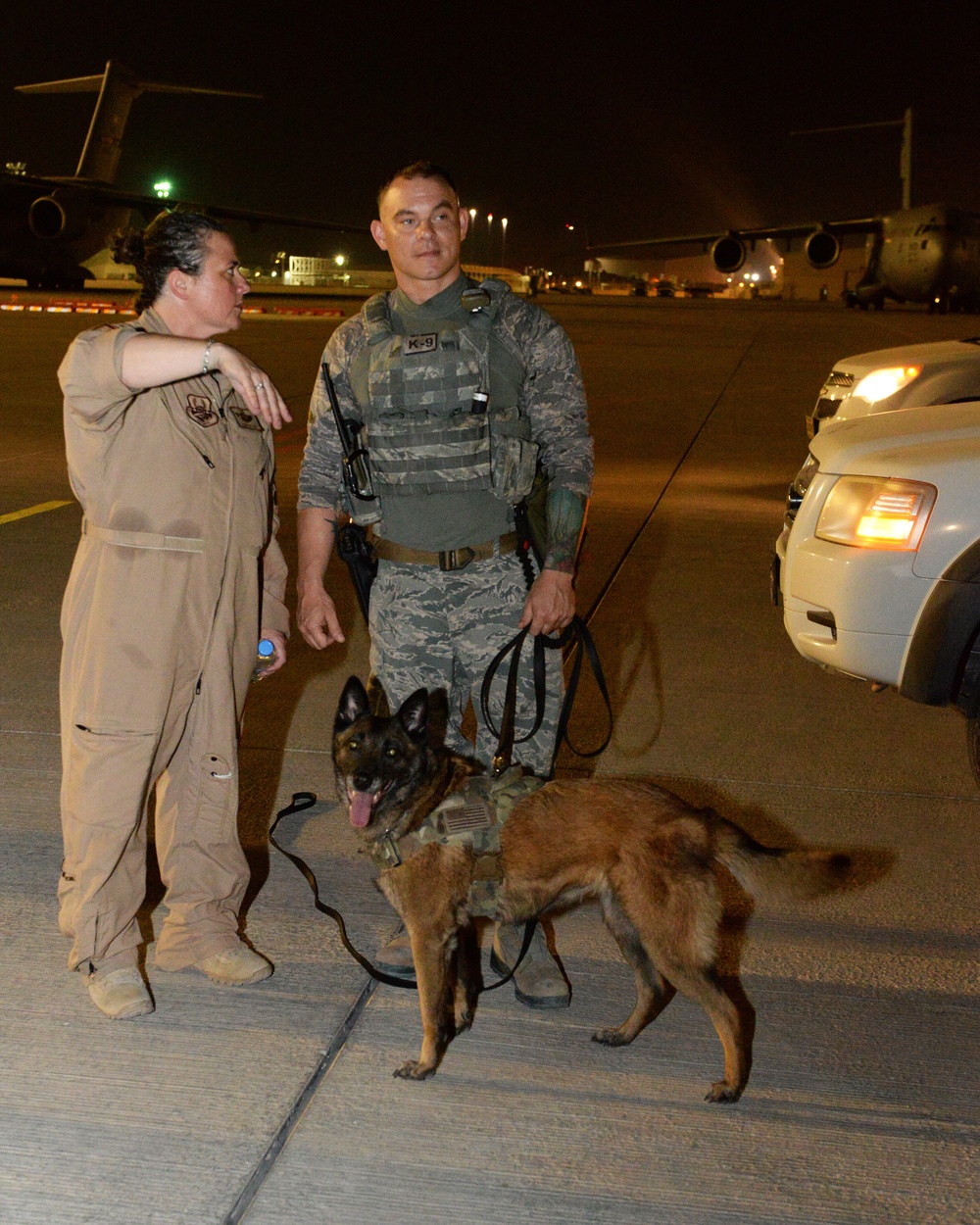 Military working dog detection exercise