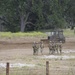 NMCB 4 FTX Mass Casualty Day 1