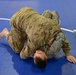 Basic Combative Course of 39th Signal and SHAPE Health Care Facilities