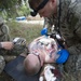 NMCB 4 FTX Mass Casualty Day 2