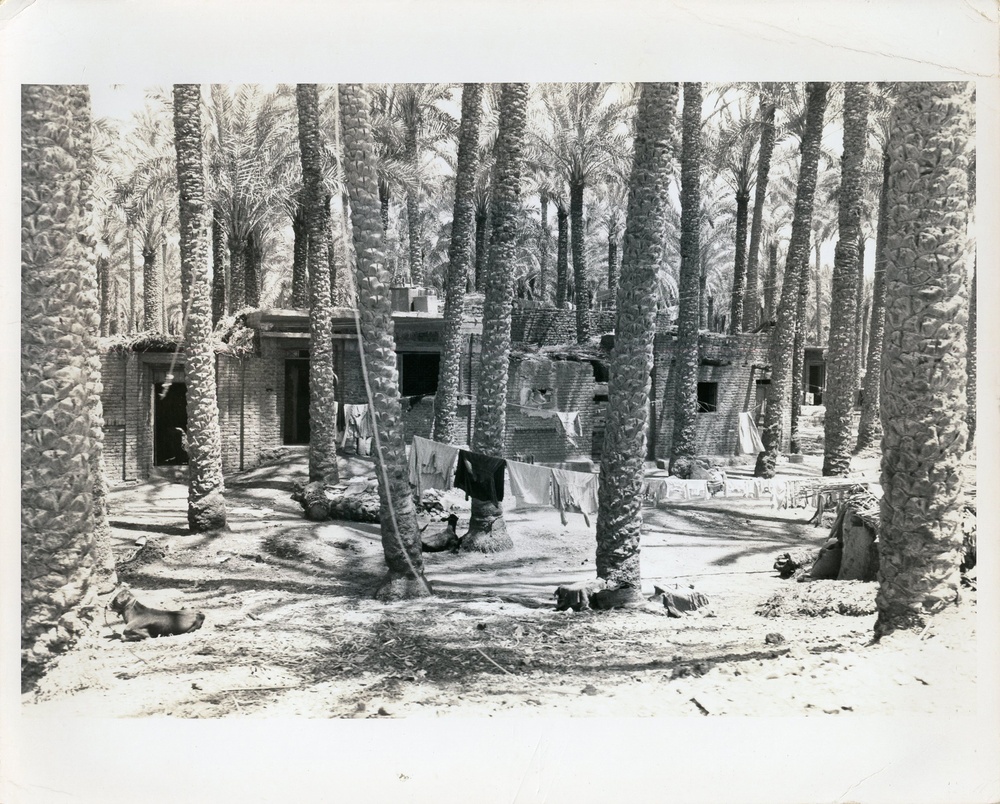 Drought in ANE regions