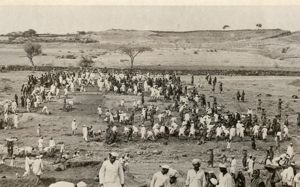 Drought in ANE regions