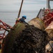 Coast Guard Cutter Oak's crew works buoys near Nantucket