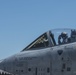 Vice Commander performs final flight