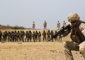 Professional partners: COFUMACO and SPMAGTF-CR-AF Marines conduct bilateral training