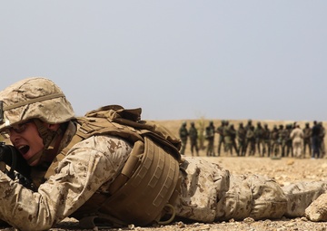 Professional partners: COFUMACO and SPMAGTF-CR-AF Marines conduct bilateral training
