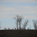 US MARINES NAVIGATE FORT MCCOY TRENCHES