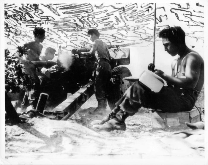 Nisei field artillery liberated WWII prisoners