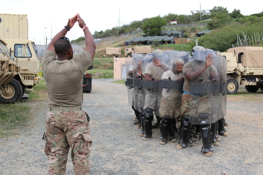 Distinguished Visitors Observe Vigilant Guard