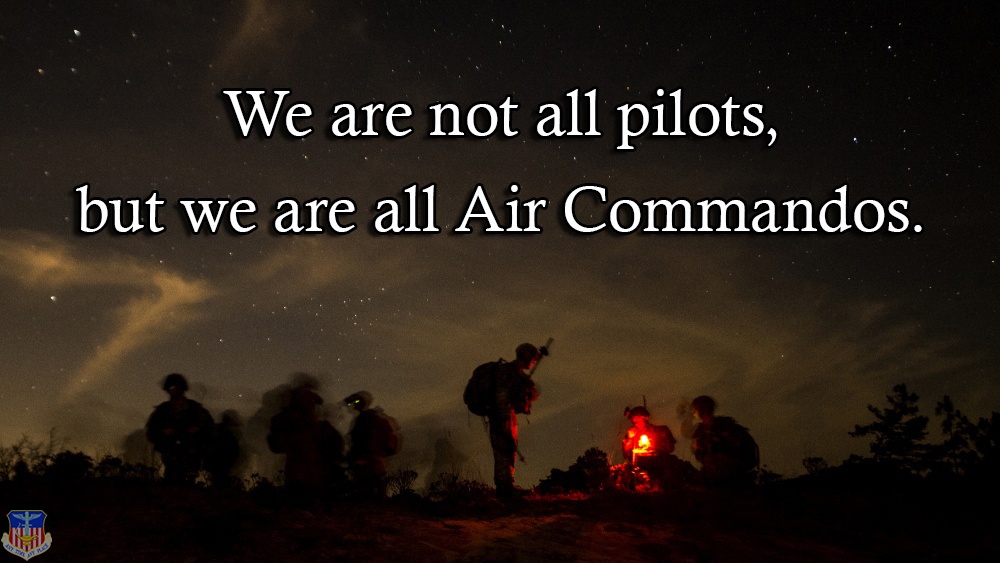 Not all pilots graphic