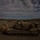 1st Combat Engineer Battalion Breach