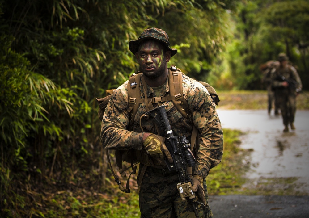 Down and Dirty | Marines train in the jungle to ensure mission readiness