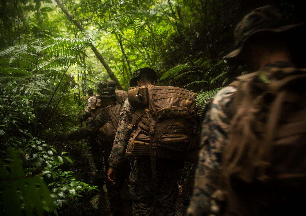 Down and Dirty | Marines train in the jungle to ensure mission readiness
