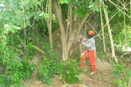 Airmen conduct operations training