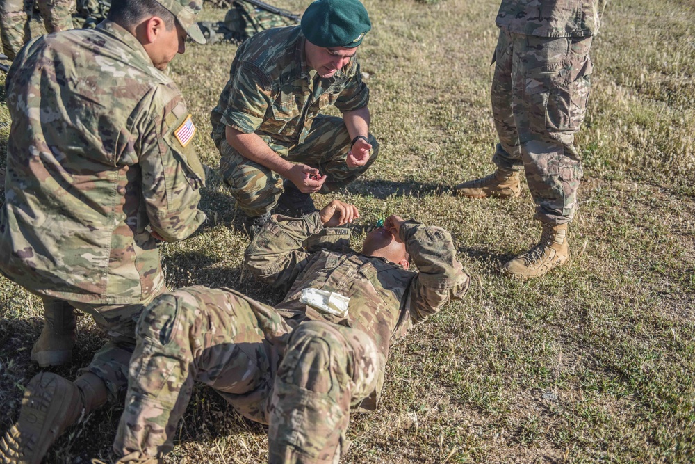 Medical Training between Sky Soldiers and Greek Army