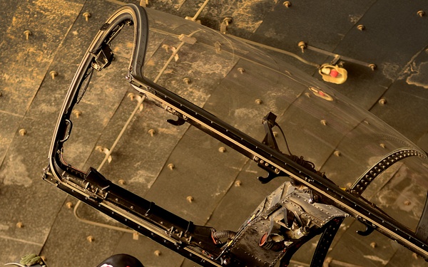 Panthers Pride of Juniper Falcon