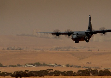 Blue Tail Flies Drop into Juniper Falcon