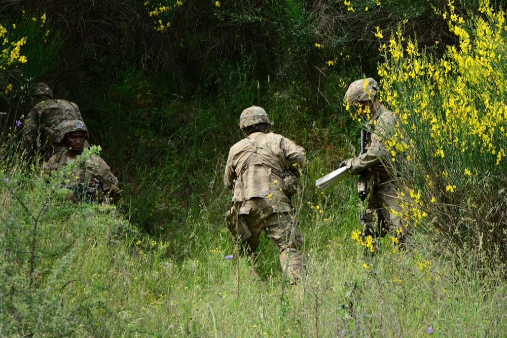Exercise Byonet Minotaur 2017
