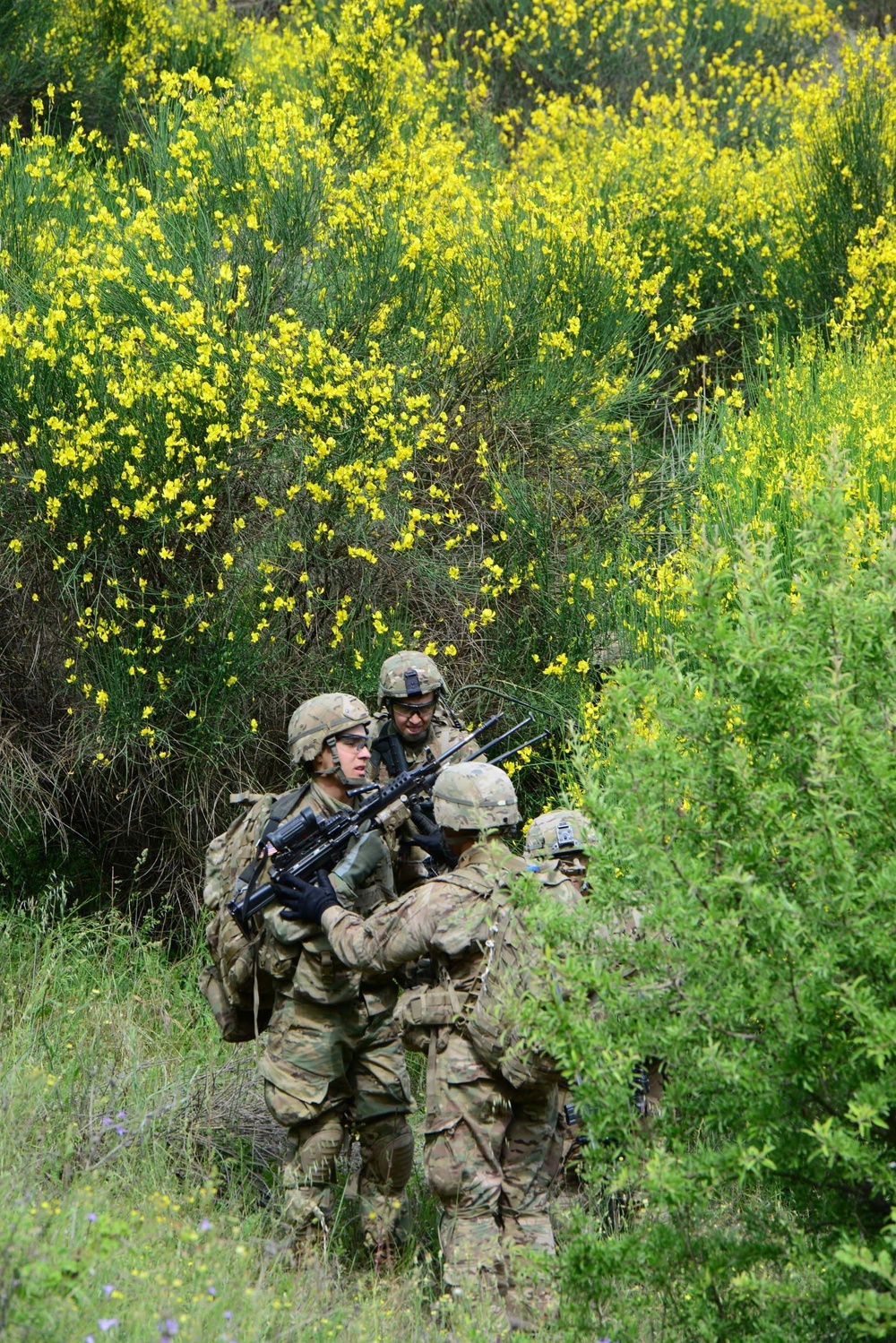 Exercise Byonet Minotaur 2017
