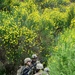 Exercise Byonet Minotaur 2017