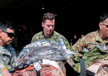 U.S. and Canadian Medics Train to a Higher Standard at Maple Resolve 17
