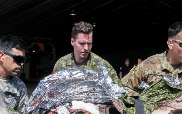 U.S. and Canadian Medics Train to a Higher Standard at Maple Resolve 17