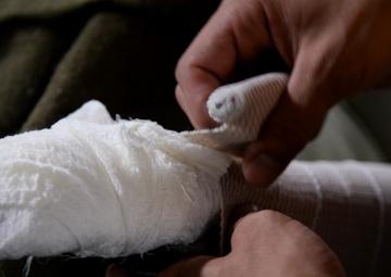 Royals support Exercise RAPID RESCUE