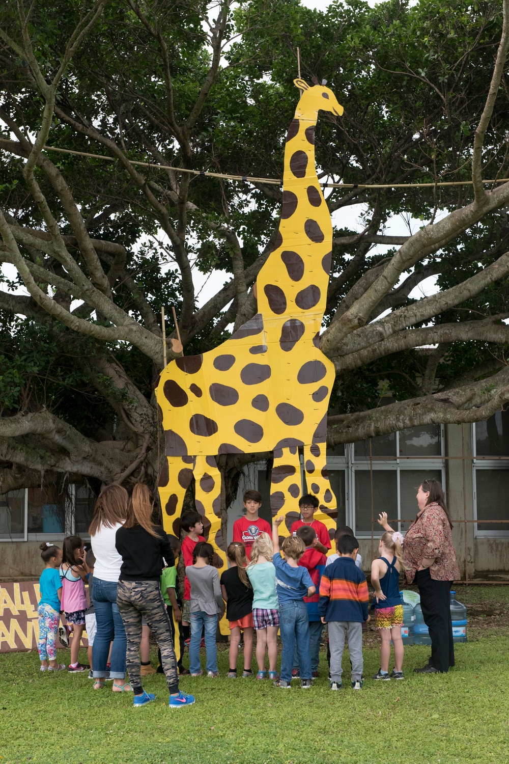 Largest, tallest, oldest animals at Kadena Elementary