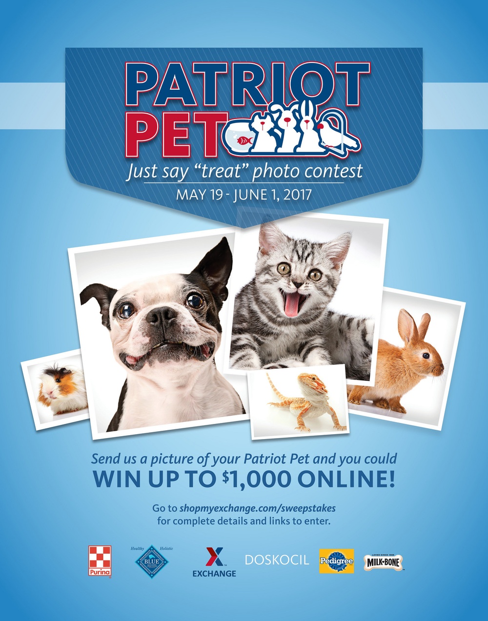 Patriot Pet Photo Contest
