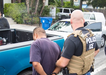 Fugitive Operations Targeted Enforcement Action - LA