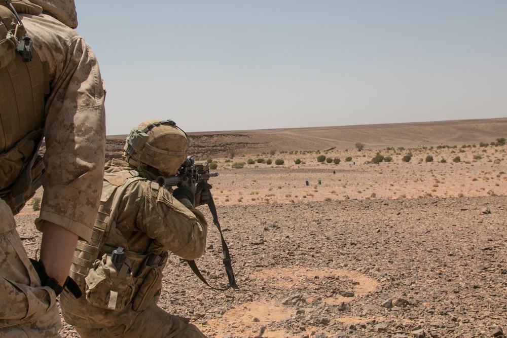 Greywolf kicks up dust, builds partnership in multinational exercise