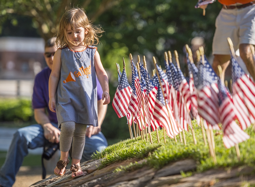 American flags and a little girl