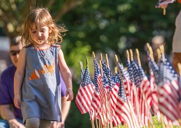 American flags and a little girl