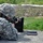 Joint Force Headquarters New York Conducts Range Fire at Camp Smith Joint Force Headquarters New York Conducts Range Fire at Camp Smith
