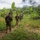 Ghanaian Jungle Warfare School