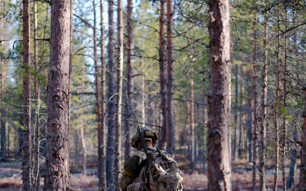 Arrow 17 - Training Exercise
