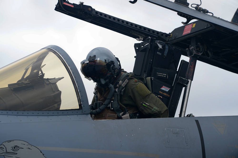 Reapers support ACE 17