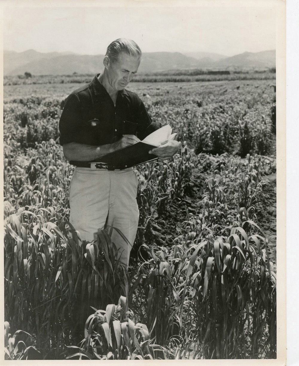 Norman Borlaug