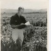 Norman Borlaug