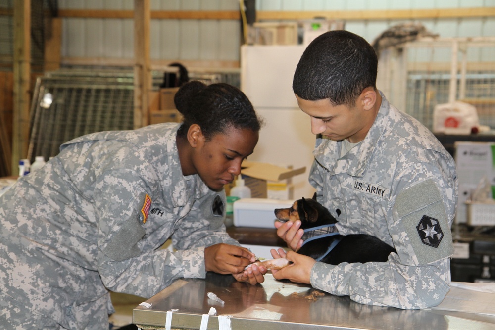 Desert Medics Provide Medical Care in the Mountains