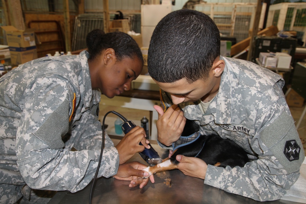 Desert Medics Provide Medical Care in the Mountains